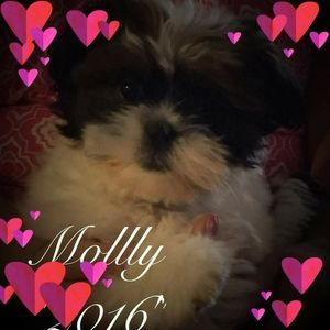 Meet your Posher, Peggy